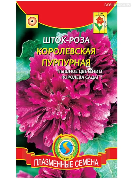 Шток-роза Королевская Пурпурная