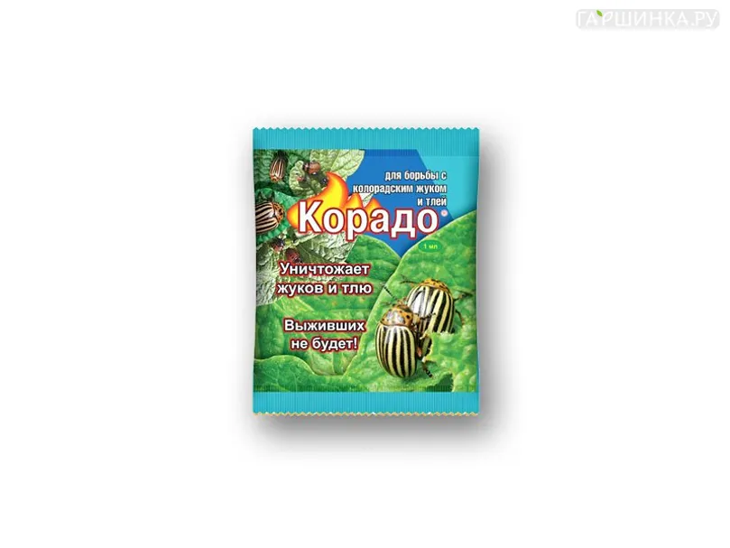 Корадо