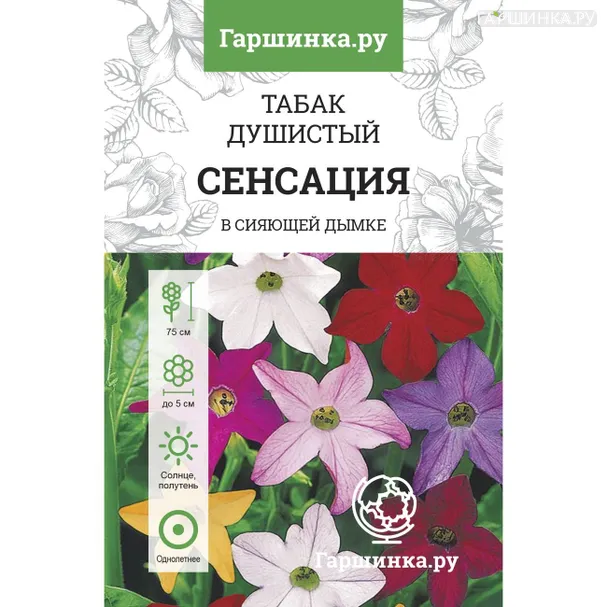 Табак душистый Сенсация