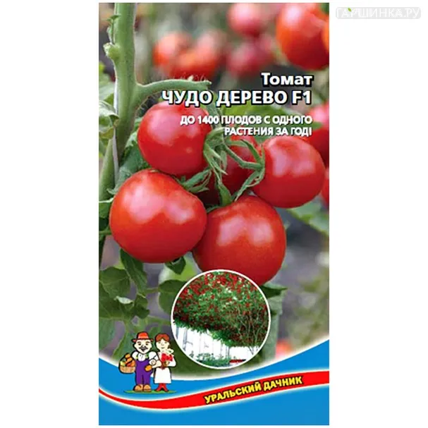 Томат Чудо дерево, 0,1гр