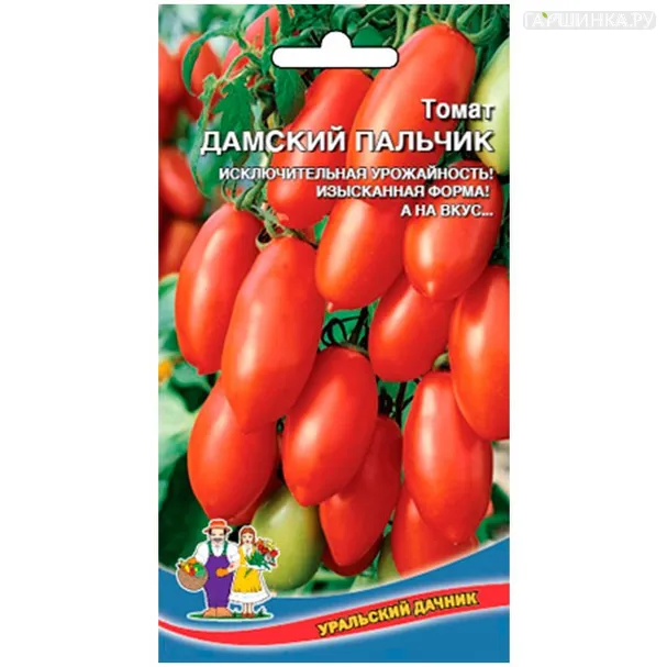 Томат Дамский пальчик