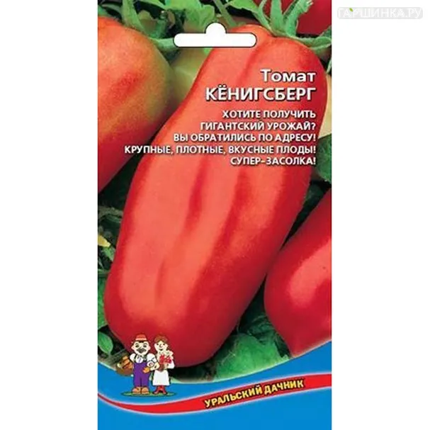 Томат Кенигсберг новый, красный