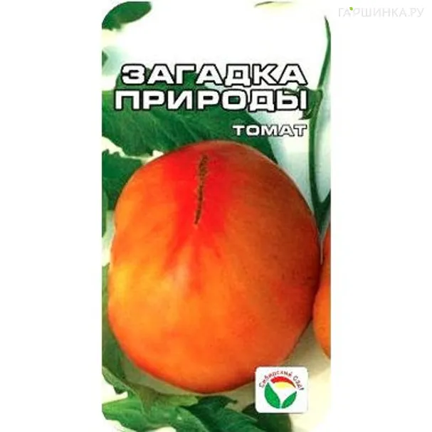 Томат Загадка природы 20 шт.
