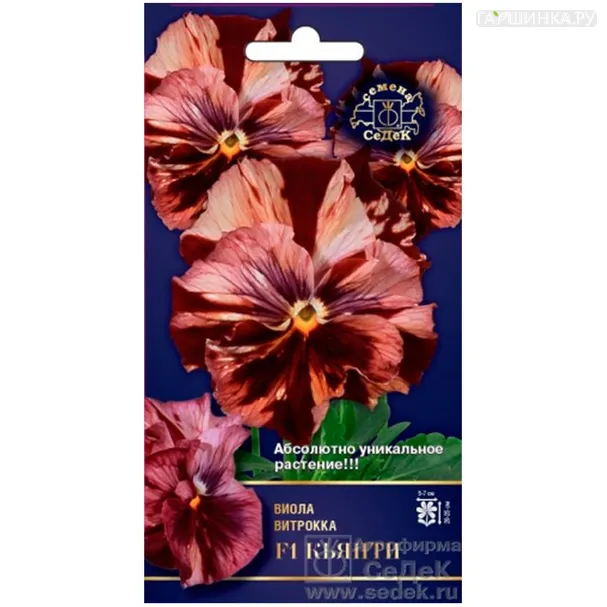 Виола Кьянти, Витрокка (Седек)