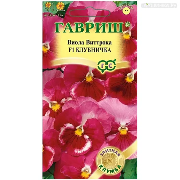 Виола Клубничка, Витрока, 5 шт.