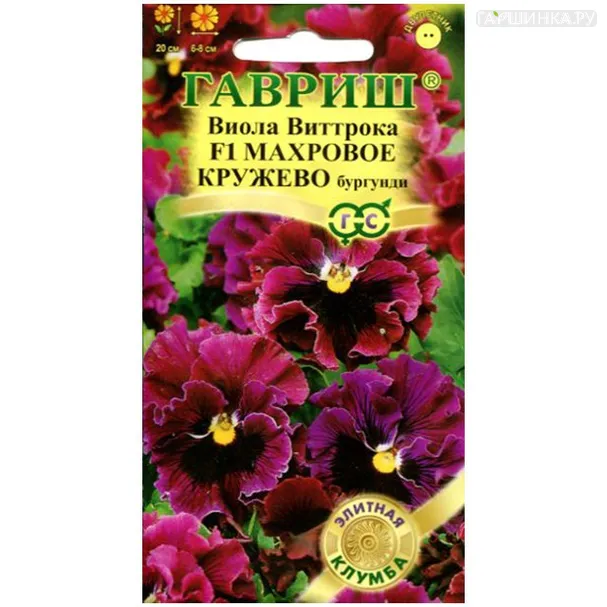Виола Махровое кружево бургунди Витрока, 5 шт