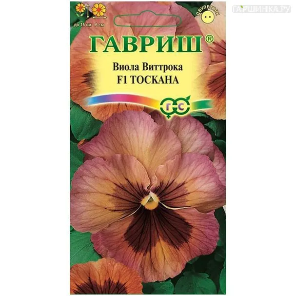 Виола Тоскана, Виттрока , 5 шт