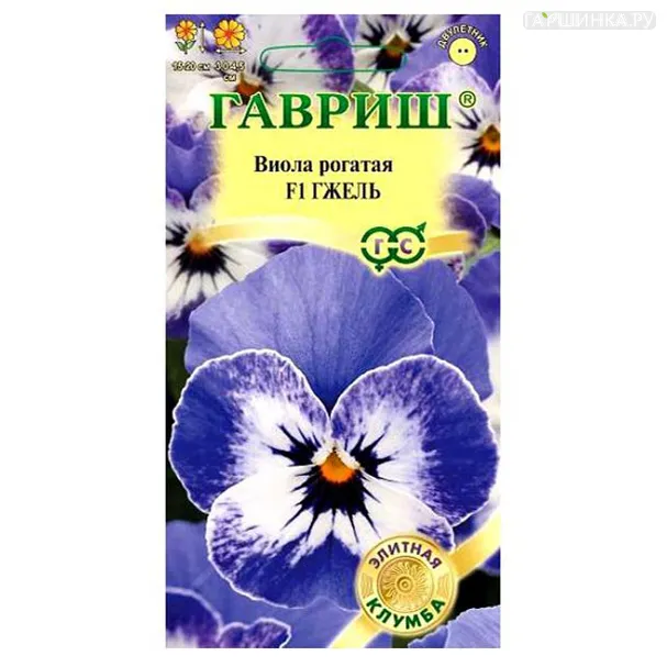 Виола Гжель F1 (Гавриш), 10шт