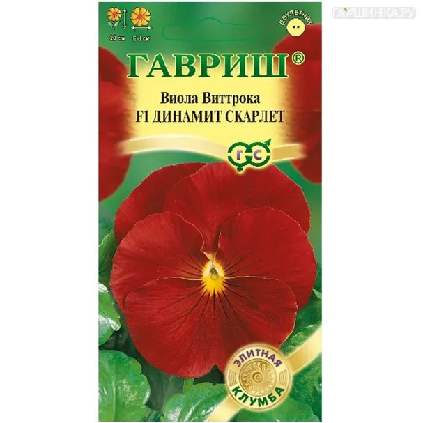 Виола Виттрока Динамит Скарлет (Гавриш), 5шт