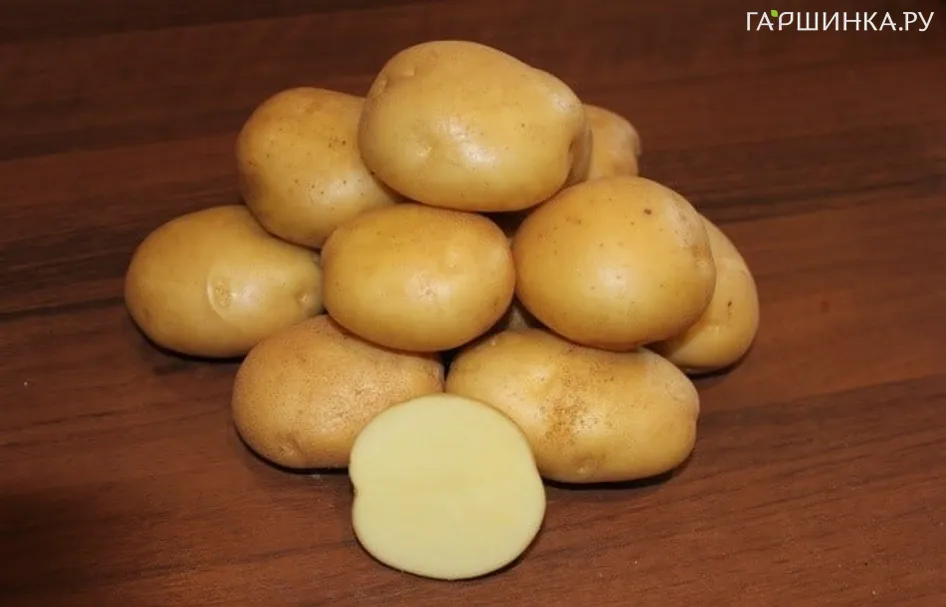 Картофель Метеор 2кг