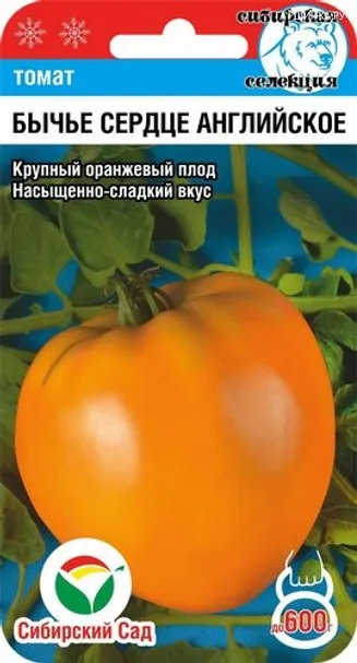 Томат Бычье сердце английское 20 шт