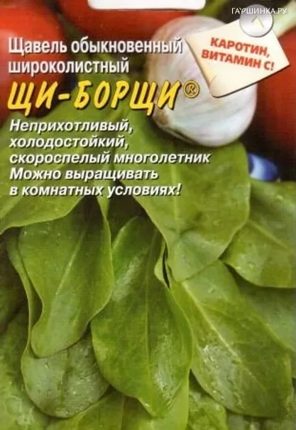 Щавель Щи-Борщи