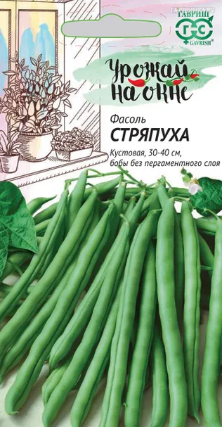 Фасоль спаржевая Стряпуха