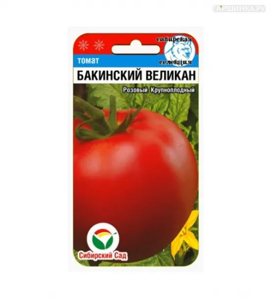 Томат Бакинский великан 20 шт