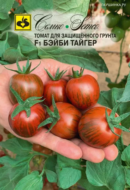 Томат Бэйби Тайгер F1