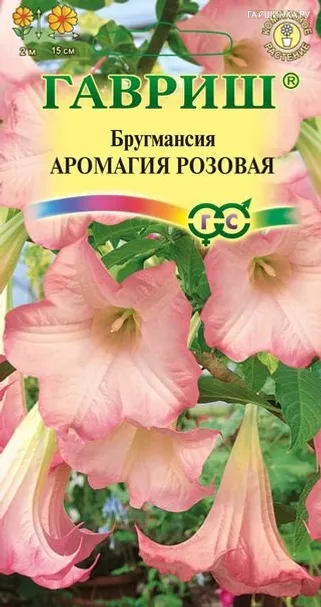 Бругмансия Аромагия розовая, 3 шт