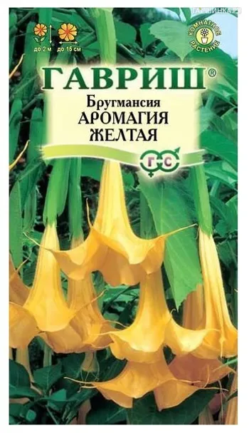 Бругмансия Аромагия желтая 3 шт