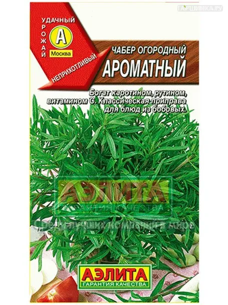 Чабер Ароматный огородный