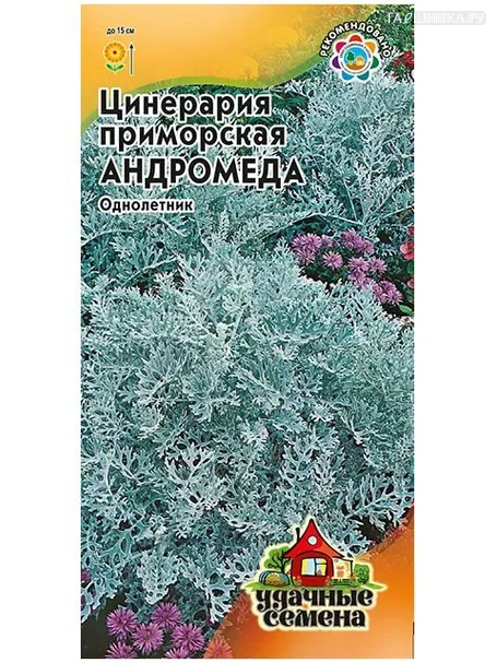 Ценерария приморская Андромеда, 0,1