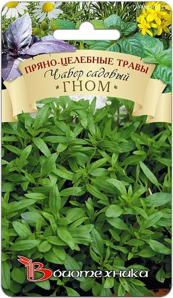 Чабер садовый Гном