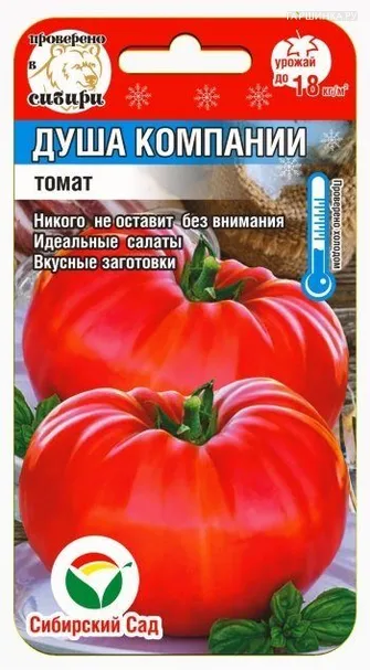 Томат Душа компании 20 шт