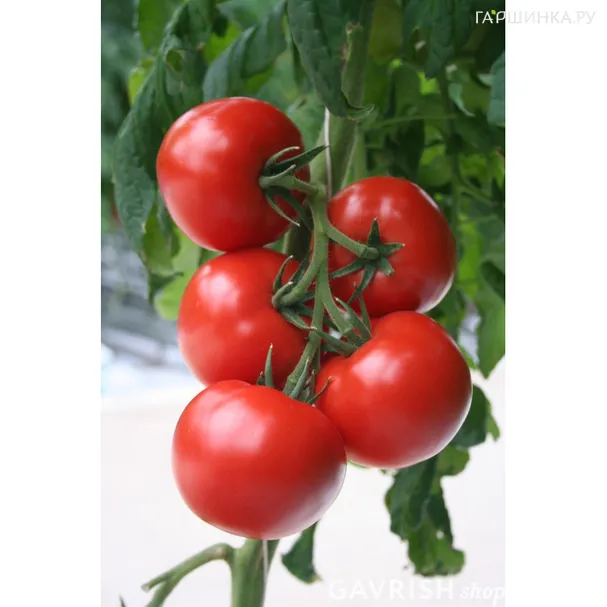 Томат Ля-ля-фа F1 сер.1+1/25шт