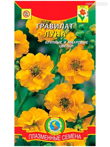 Гравилат Луна 0,1 г, Плазменные семена