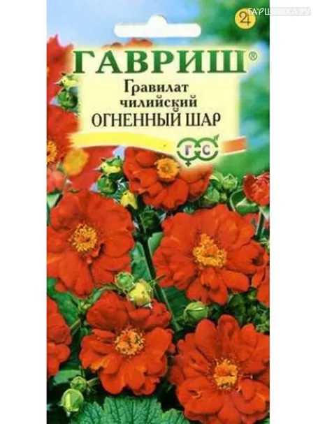 Гравилат Огненный шар чилийский 0,1 г
