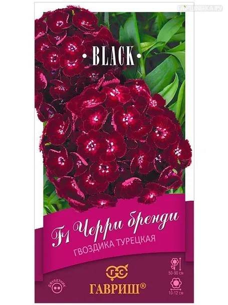 Гвоздика Черри бренди турецкая 5 шт