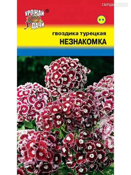 Гвоздика турецкая Незнакомка 0,1 г