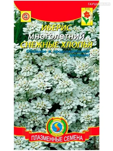Иберис Снежные хлопья 0,1