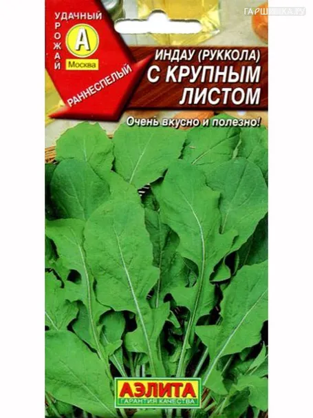 Руккола (Индау) с крупным листом
