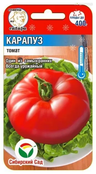 Томат Карапуз 20шт