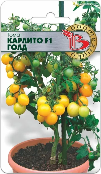 Томат Карлито Голд F1