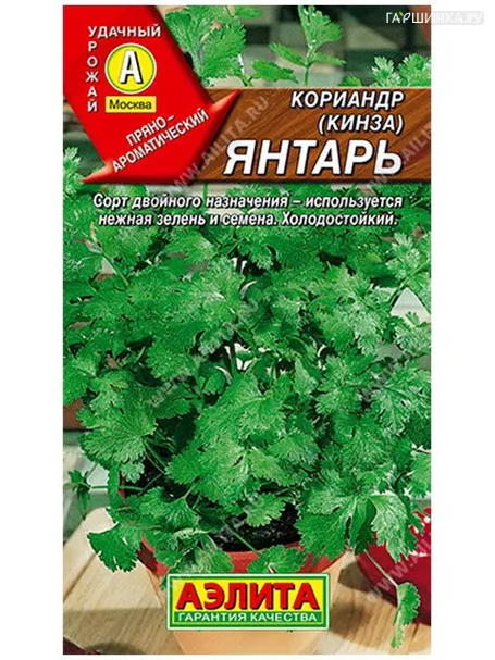 Кинза (Кориандр) Янтарь 2,0 г, Семена Аэлита