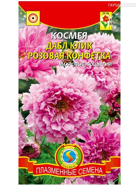 Космея Дабл Клик Розовая конфетка, 10 шт