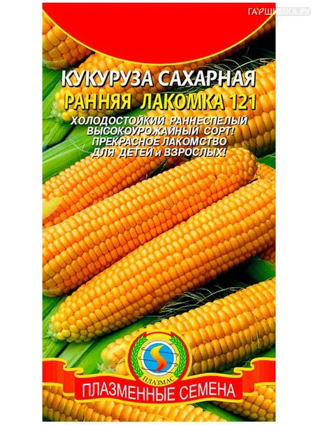 Кукуруза Ранняя лакомка (сахарная) 121 (Плазмас)