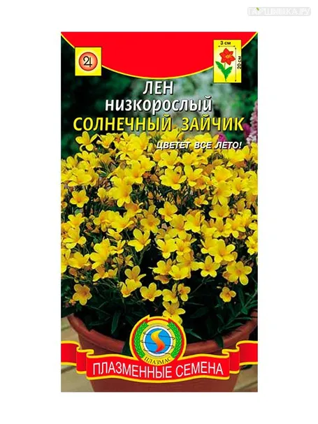 Лен Солнечный зайчик, низкорослый, 0,03 г