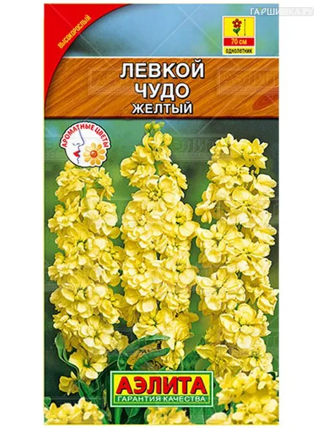 Левкой высокорослый Чудо желтый