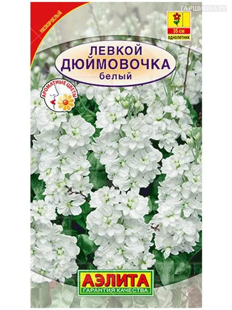 Левкой Дюймовочка белый карликовый, 0,1 г