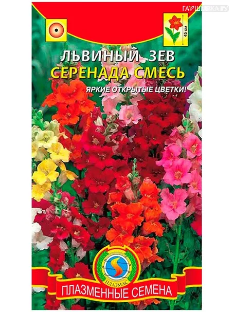 Львиный зев Серенада смесь