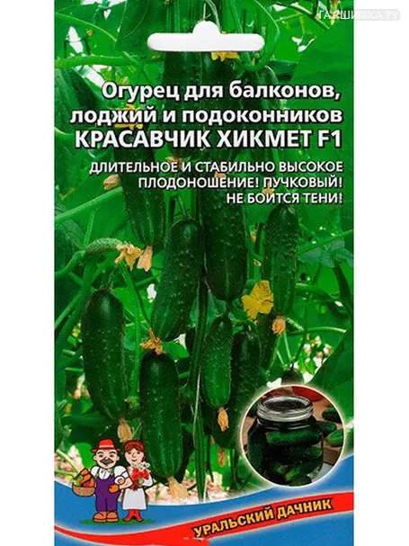 Огурец Красавчик Хикмет F1 ц/п Уральский дачник, Семена Марс