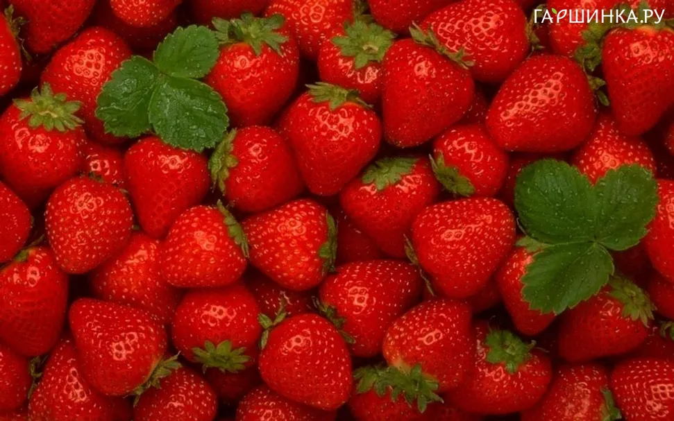 Клубника Музыка 3 шт