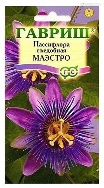 Пассифлора Маэстро ц/п 5 шт, Семена Гавриш