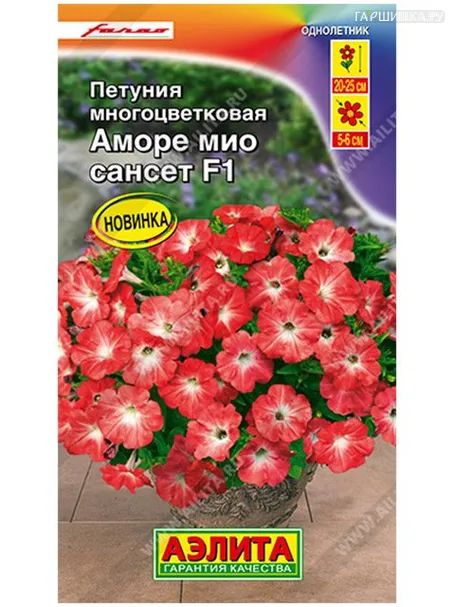 Петуния Аморе Мио сансет многоцветковая (Аэлита), 7шт