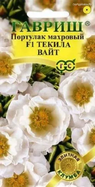 Портулак Текила Вайт, махровый, 5 шт