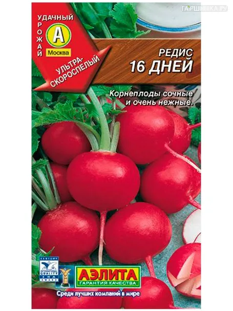 Редис 16 дневный (Аэлита) 3 г