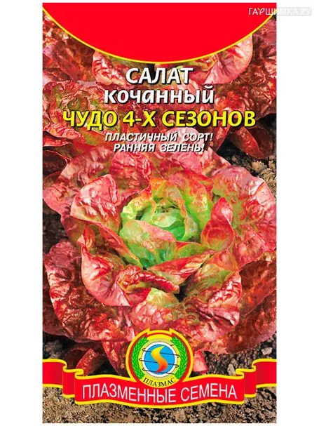 Салат Чудо 4-х сезонов 0,5 г