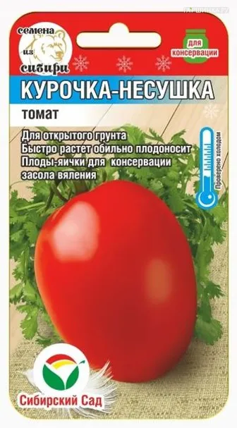 Томат Курочка-несушка 20шт
