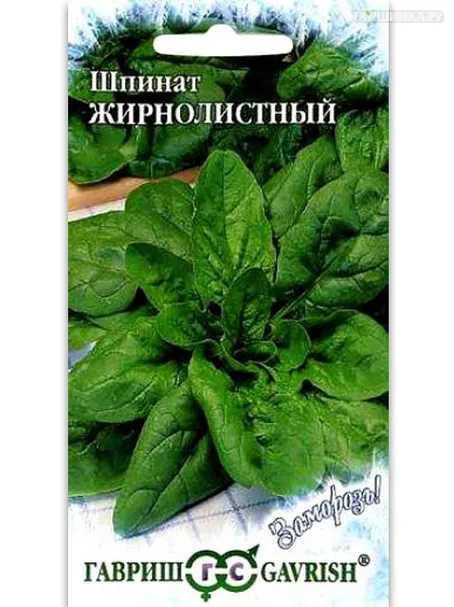 Шпинат Жирнолистный, 1 г